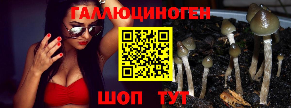 Псилоцибиновые грибы мухоморы  Галлюциногенные грибы Psilocybine cubensis  Гагарин  Вход с VPN 